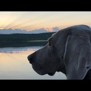 Meet your Posher, Marc